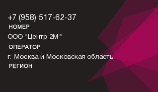 9585176237